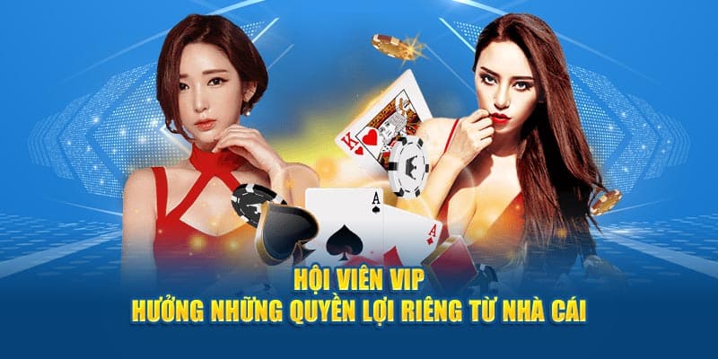 Hội viên VIP hưởng những quyền lợi riêng từ nhà cái