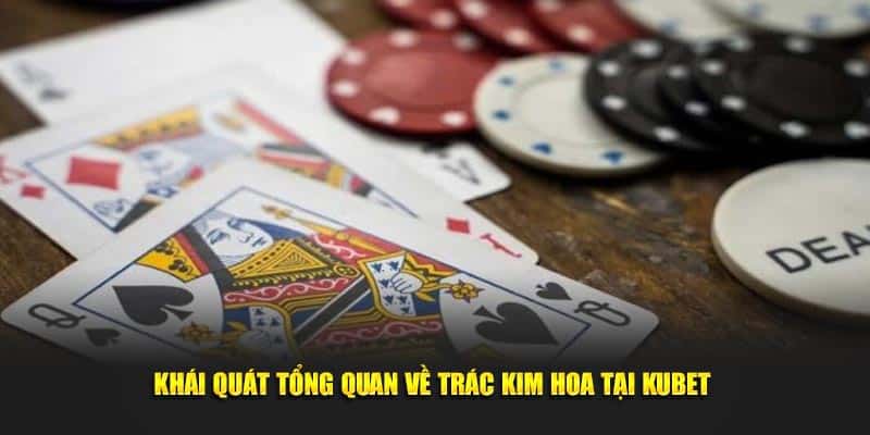 Khái quát tổng quan về trác kim hoa tại KUBET 